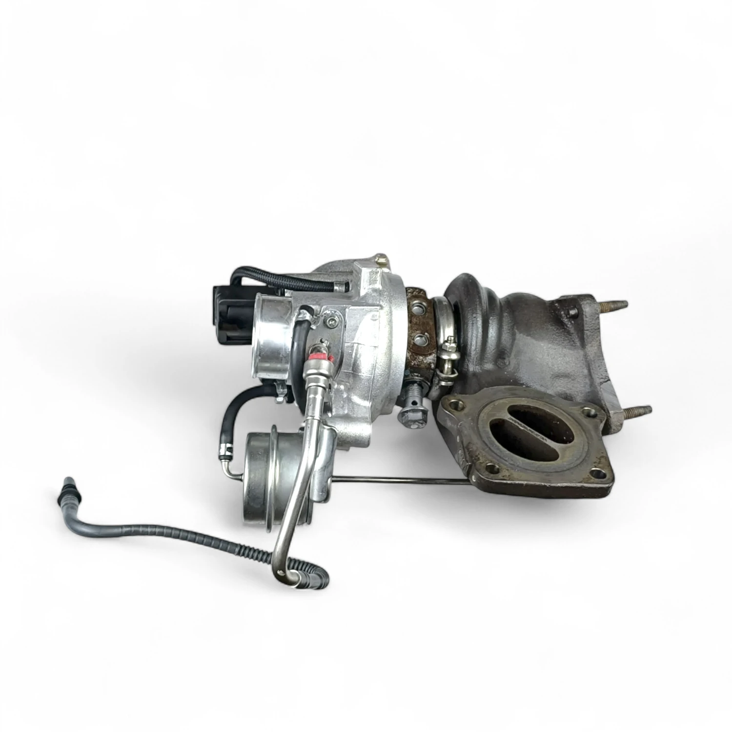 IMG_20250804_091311-Photoroom