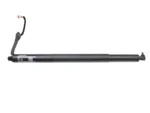 Amortecedor Esquerdo Porta Malas Volvo Ex30 2024 2025